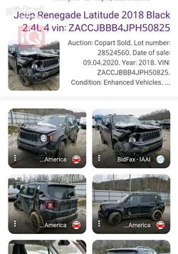 جيب رينيجيد